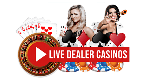 Best Live Casinos 
