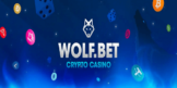 Wolf Bet Casino Australia
